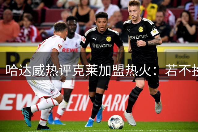 哈达威热评克莱加盟热火：若不投篮，字母哥热巴将统治篮下