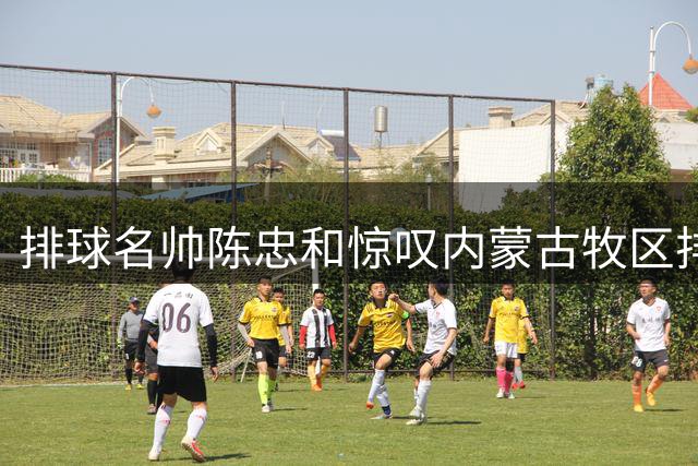 排球名帅陈忠和惊叹内蒙古牧区排球热：纯粹的热爱最能打动人心
