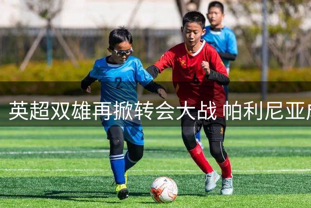 英超双雄再掀转会大战 帕利尼亚成纽卡维拉新争夺目标