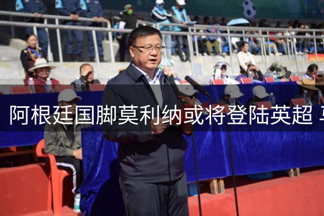 阿根廷国脚莫利纳或将登陆英超 马竞标价超2000万欧元待售